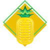 Image of Matelas Gonflable<br> Ananas