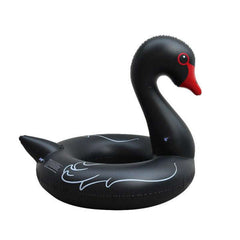 Bouée<br> Cygne Noir