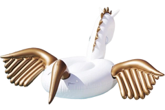 Bouée Géante <br> Pégaze