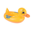 Image of Bouée Bébé<br> Canard